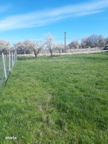 Teren de 700 mp, în Ștrand