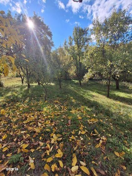 Teren de 6800 mp, în Berislăvești