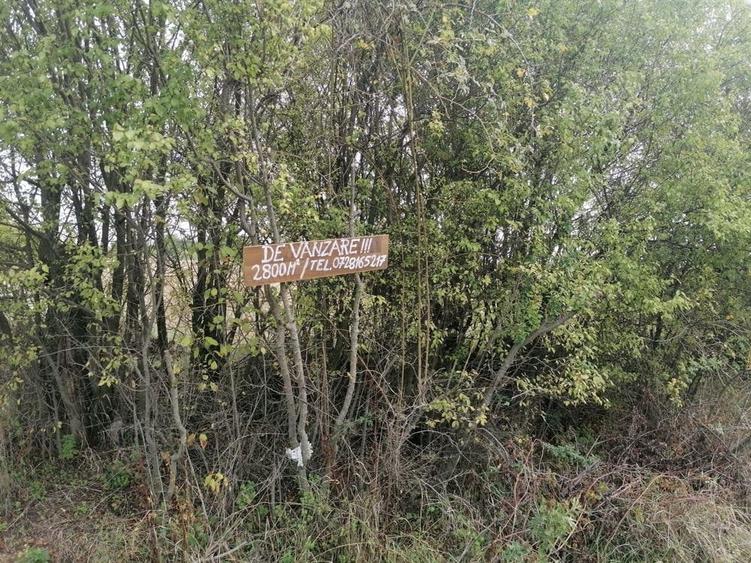 Teren în Central