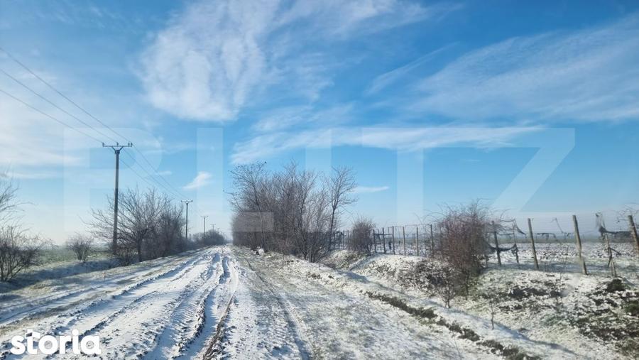 Teren de 50000 mp, în Ciorani