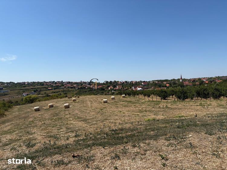 Teren de 6355 mp, în Paleu