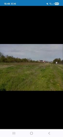 Proprietar | Teren 5000 mp Afumati - Str. Trandafirului | Utilitati | Ideal Hala Depozit - 1