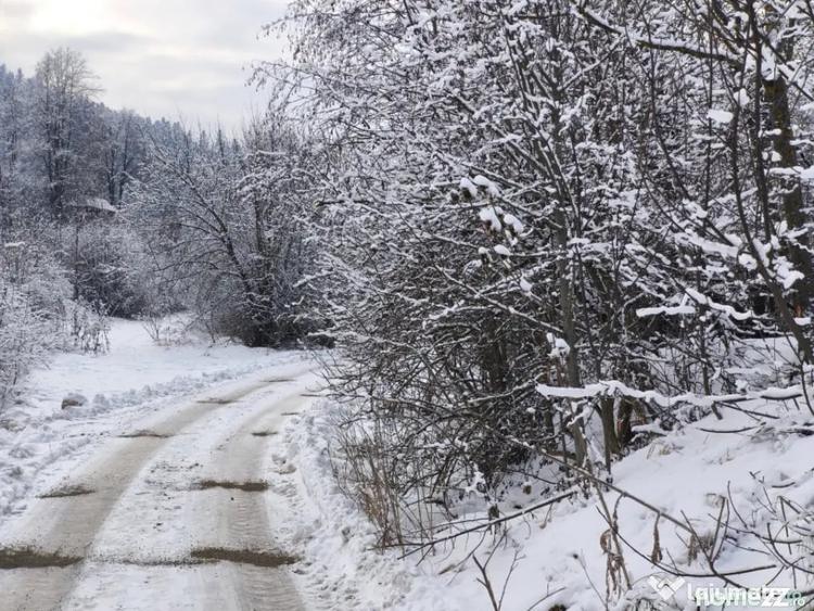 Teren de 22600 mp, în Sucevița