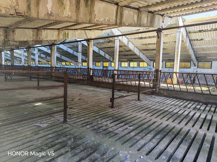 Spațiu industrial, de 7,950 mp, în Orțișoara