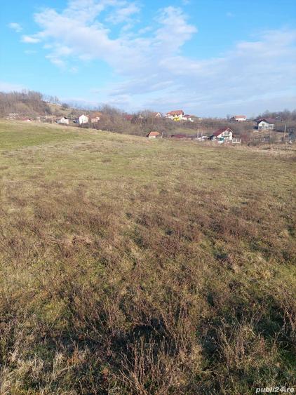 Teren de 1000 mp, în Căzănești