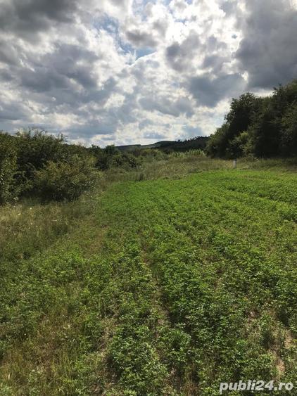 Teren de 11500 mp, în Micăsasa
