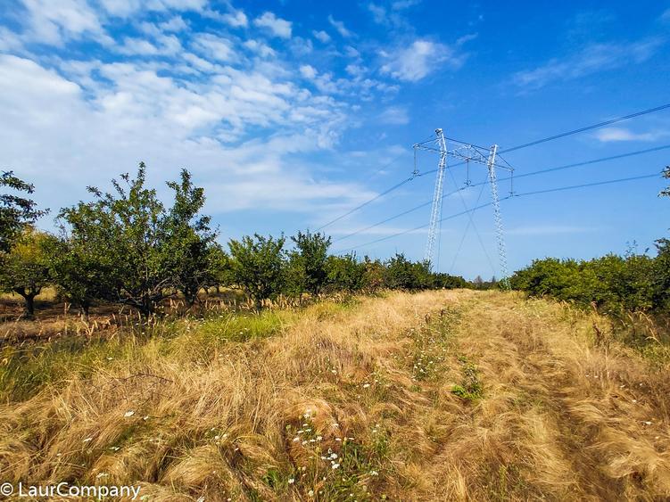 Teren extravilan de 7320 mp, în Lunca Corbului