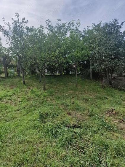 Casă cu 5 camere cu Teren 1000 Mp în Central