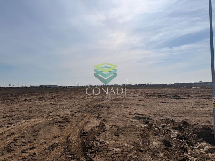 Teren Construcții intravilan de 18338 mp, în Cernica