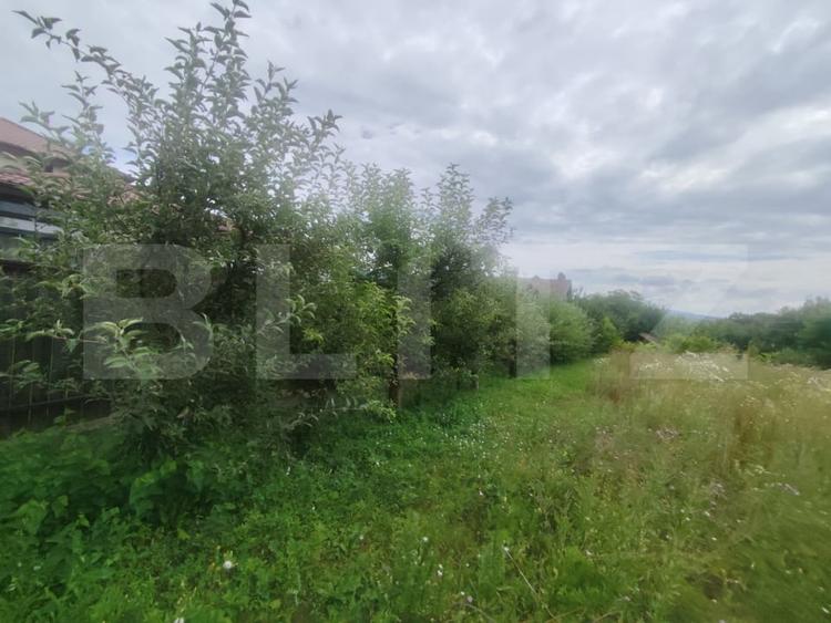 Casa 120 mp utili, 2850 mp teren, zona Bucium - 10