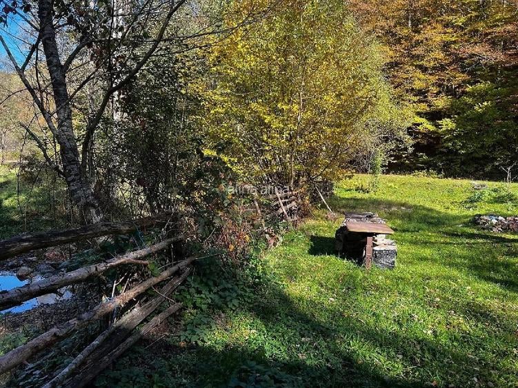 Teren de 2315 mp, în Boș