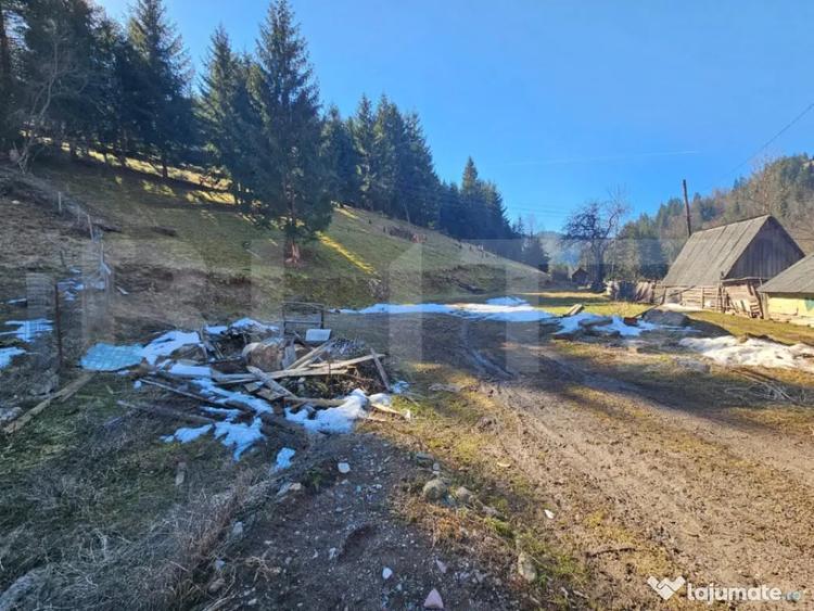 Teren în Scărișoara