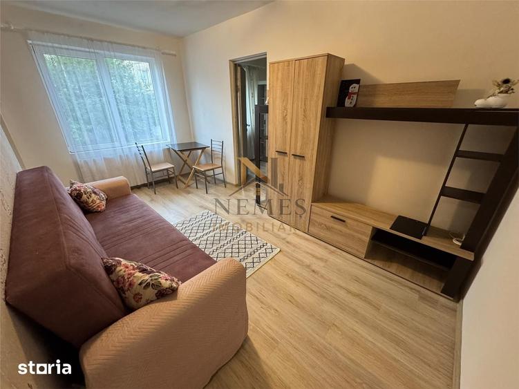 Apartament cu 2 camere nedecomandat în Săsar