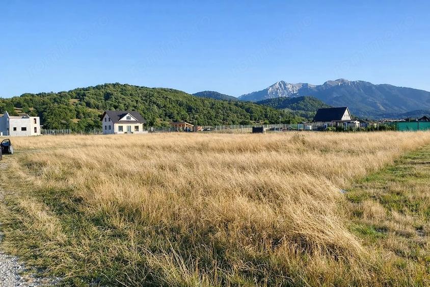 Teren de 1000 mp, în Glăjărie