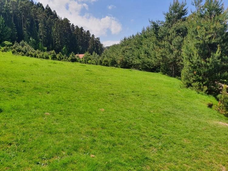 Teren Construcții intravilan de 5000 mp, în Săcele