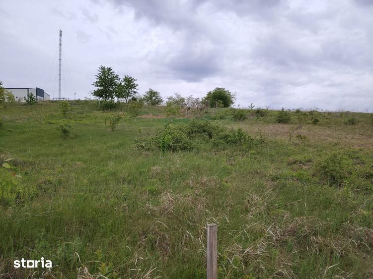 Teren de 1800 mp, în Miroslava