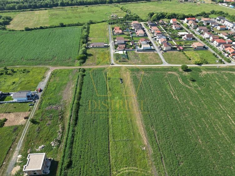 Teren Construcții de 1698 mp, în Ghiroda