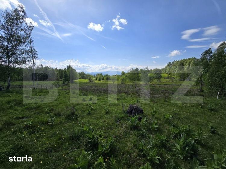 Teren de 13103 mp, în Călățele