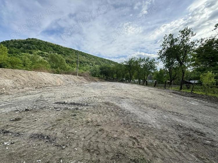 Teren de 8000 mp, în Păuliș