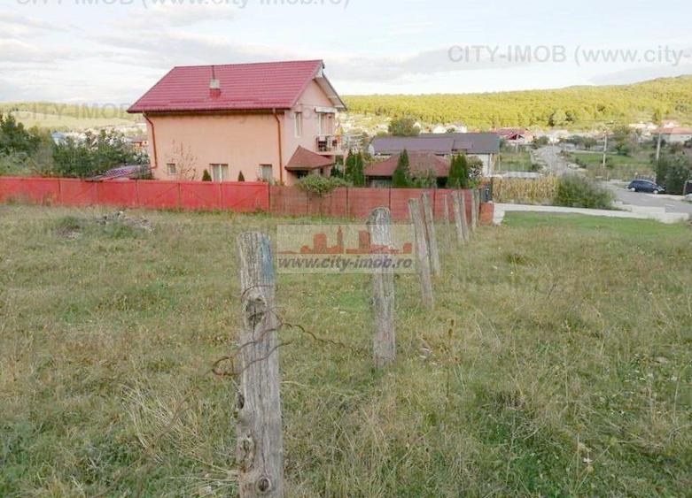 Teren Construcții intravilan de 500 mp, în Ocnița