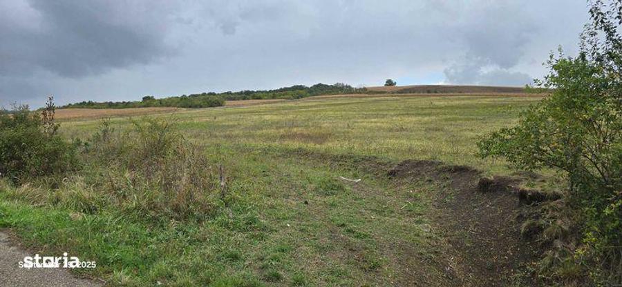 Teren extravilan 5,8 ha - 4