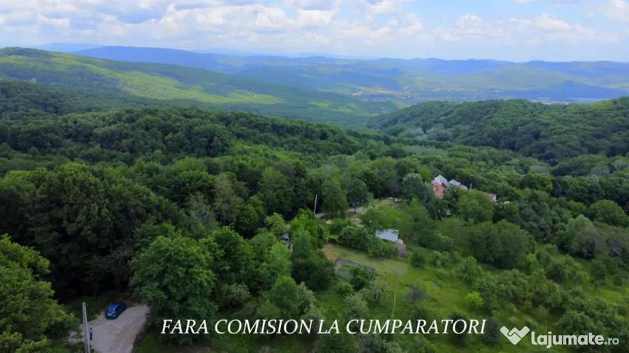 DEALUL MALULUI TEREN 1500 MP INCONJURAT DE PADURE - Ramnicu Valcea (Valcea) - 5
