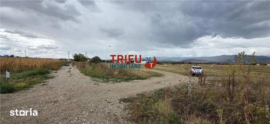 Teren de 5900 mp, în Partoș