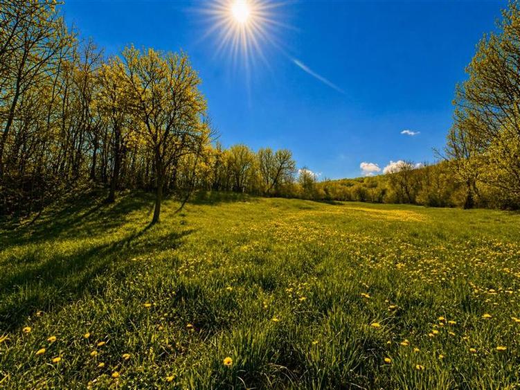 Teren intravilan de 3400 mp, în Suveica