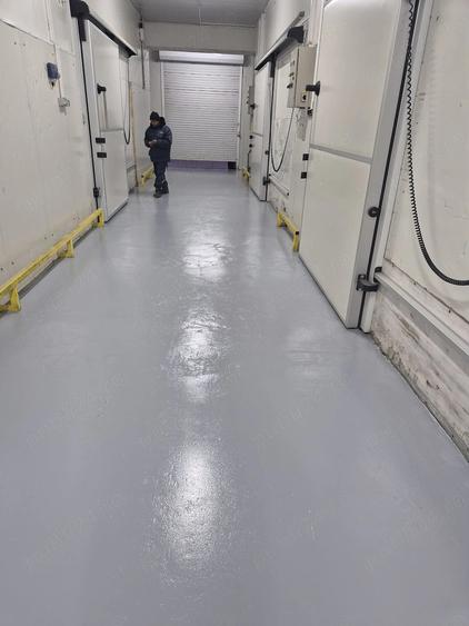 Depozit frig congelate Constanta Ovidiu - 7