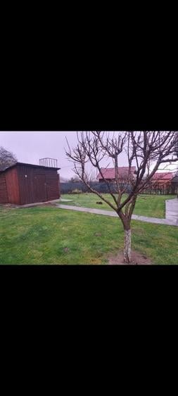 Casă cu 3 camere în Moldovenești