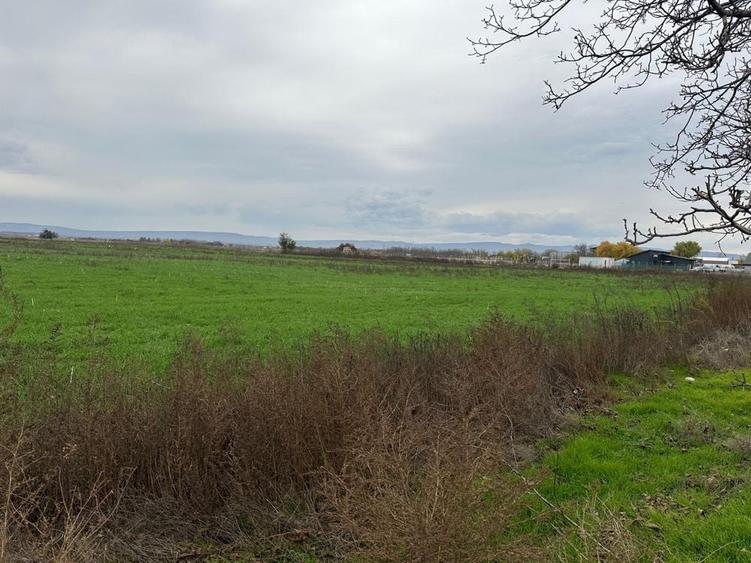 Teren de 45000 mp, în Brăilei