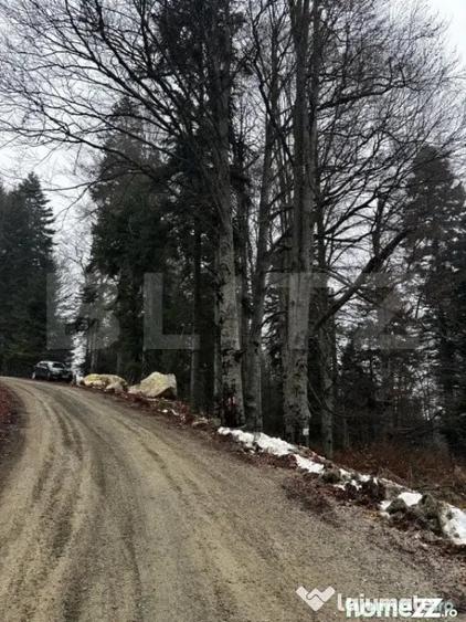 Teren de 4000 mp, în Calea Moroieni