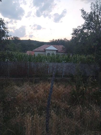 Casă cu Teren 3700 Mp în Verguleasa
