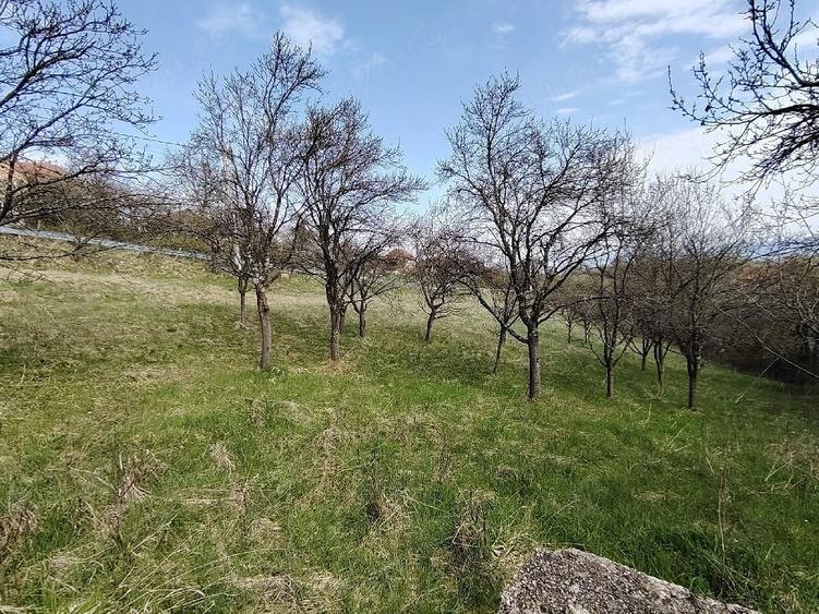 Teren de 2700 mp, în Ghelari