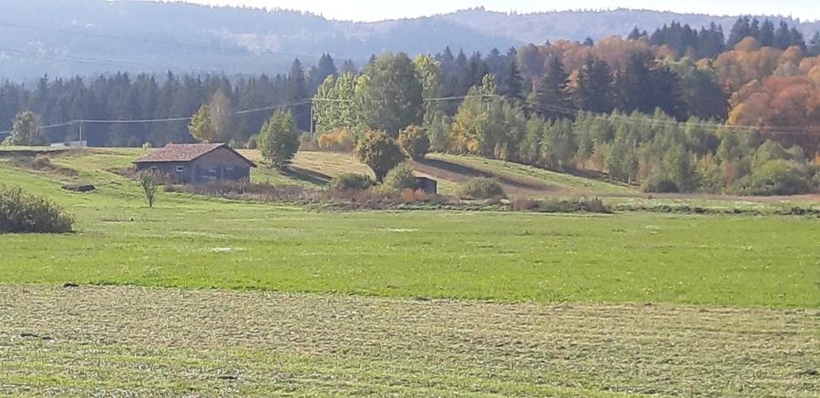 Teren extravilan de 9200 mp, în Băile Miercurea
