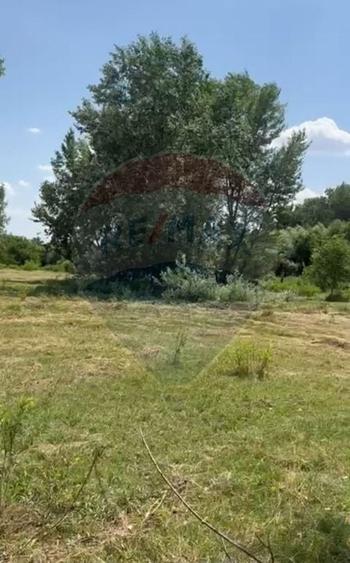 Teren agricol extravilan de 5000 mp, în DN 2