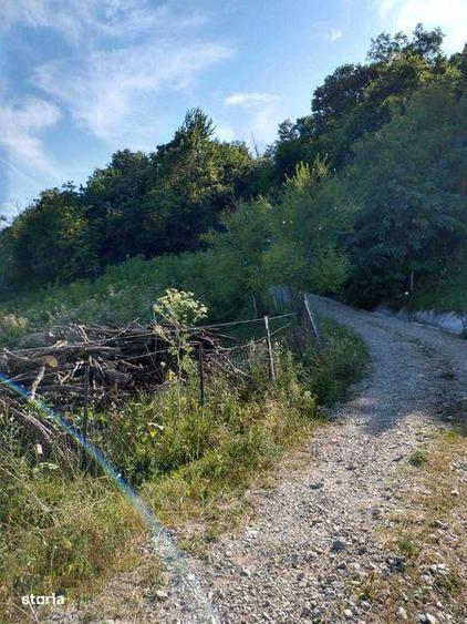 Teren de 300000 mp, în Roșia de Amaradia