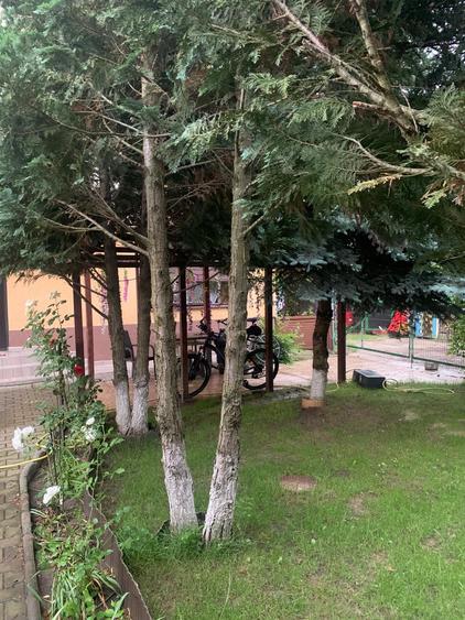 Casă cu 8 camere cu Canalizare în Snagov