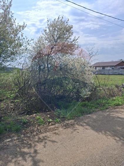 Teren Construcții intravilan de 1439 mp, în Santăul Mare