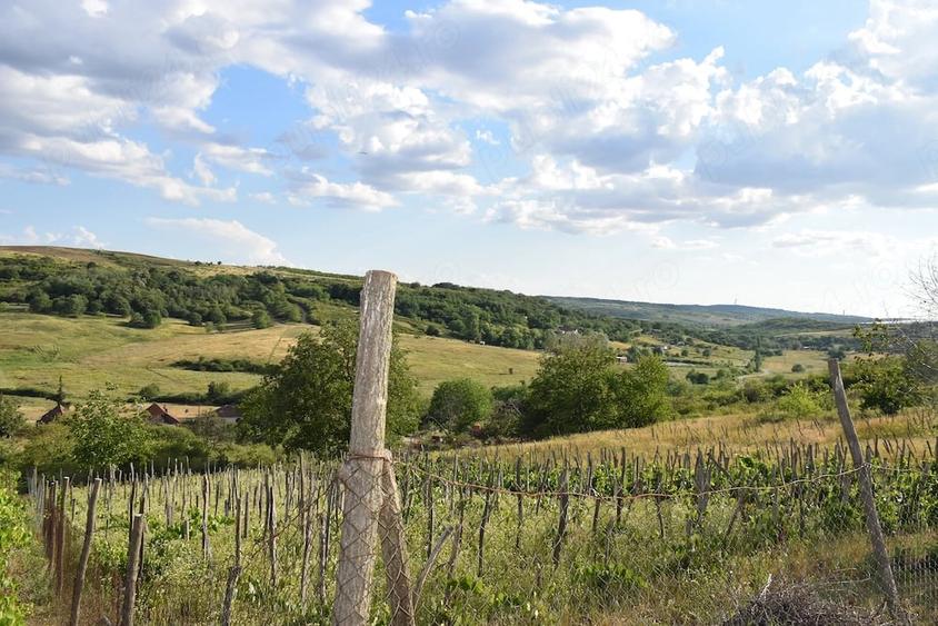 Teren de 1500 mp, în Uileacu de Munte