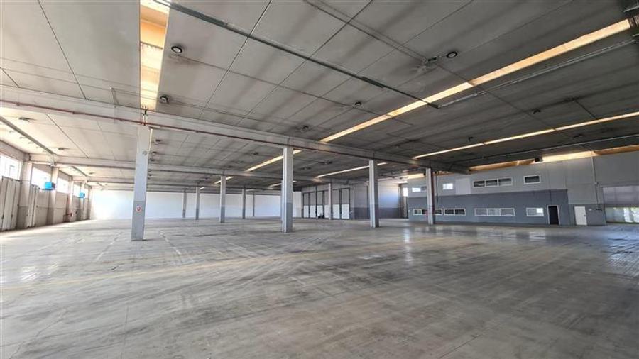 Spațiu industrial, de 5,000 mp, în Șagului