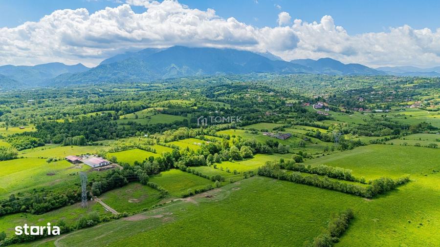 Teren de 5800 mp, în Central