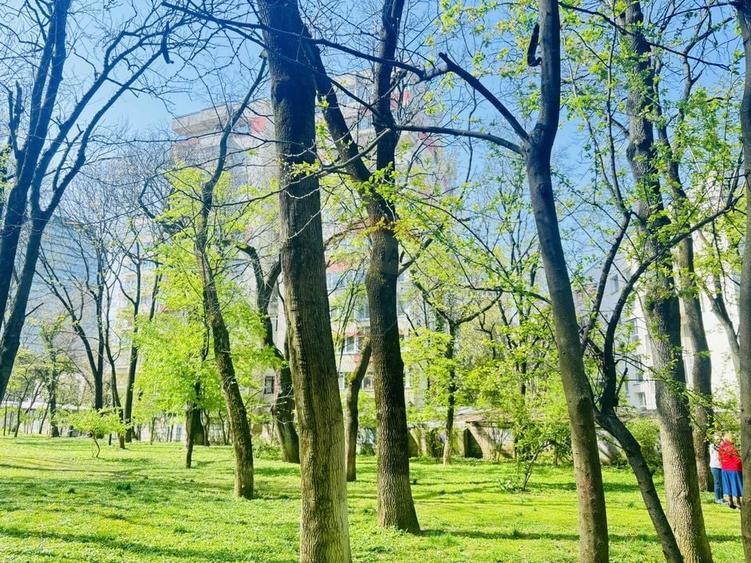 Apartament cu 4 camere decomandat în Kiseleff