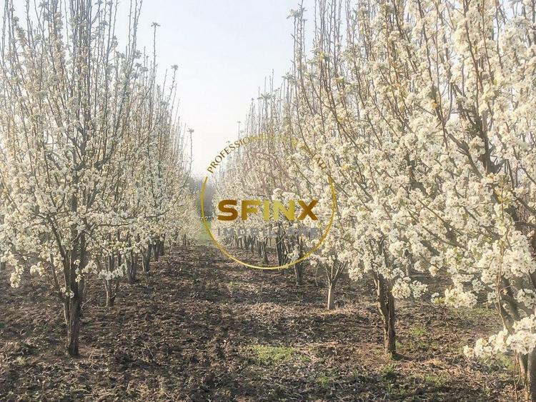 Spațiu industrial, de 1,111 mp, în Fântâna Doamnei