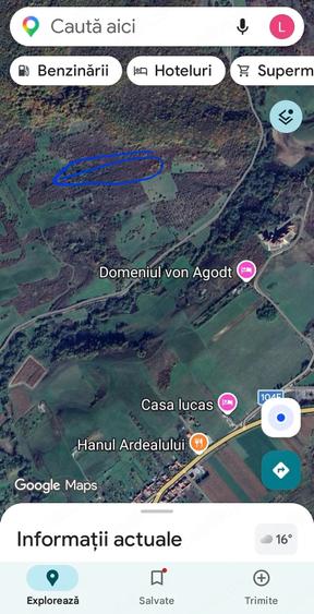 Teren de 10000 mp, în Bradu