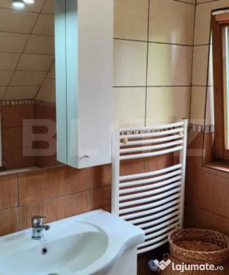 De vanzare Casa/Cabana - Campu Cetatii (Mures) - 10