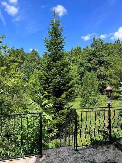 Duplex cu 8 camere cu Canalizare în Drajna de Sus