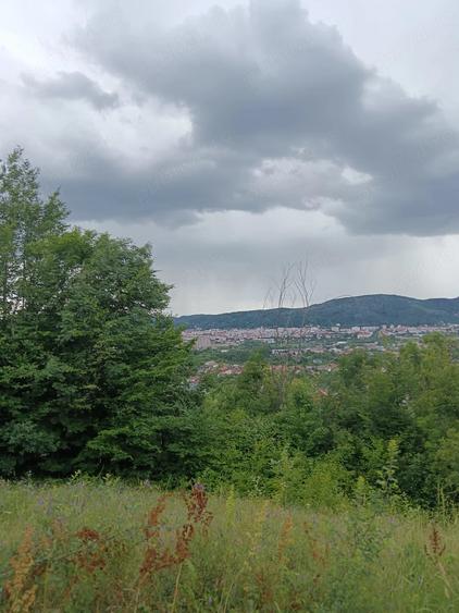 Teren de 14000 mp, în Goranu