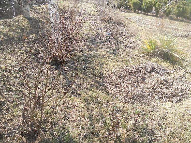 Teren de 500 mp, în Dărmănești