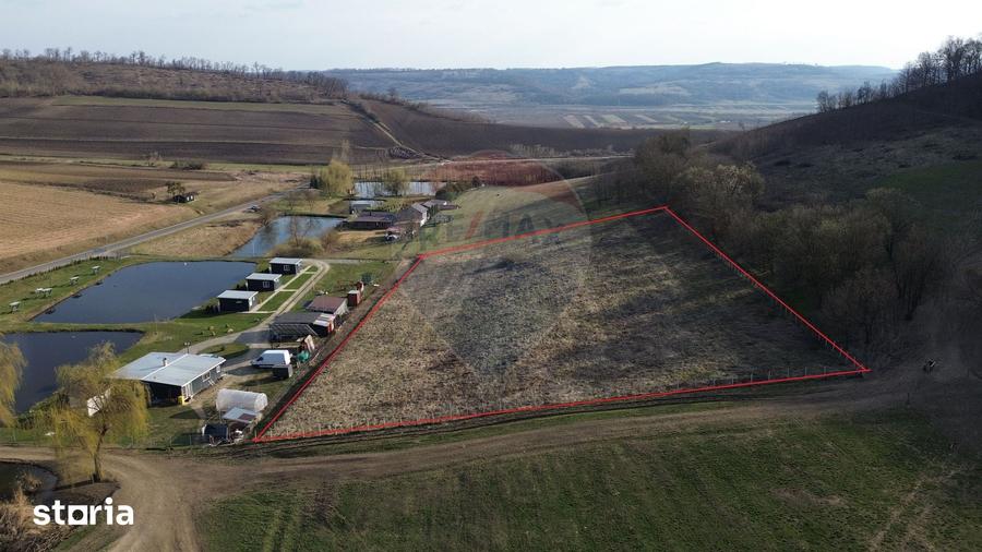 Teren de 7000 mp, în Laslea